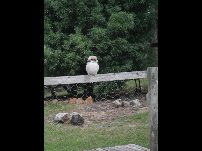 7795 Highland Lakes Road, Miena TAS 7030