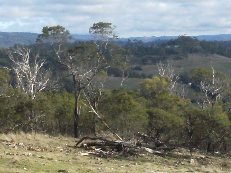 1907 East Tamar Highway, Dilston TAS 7252