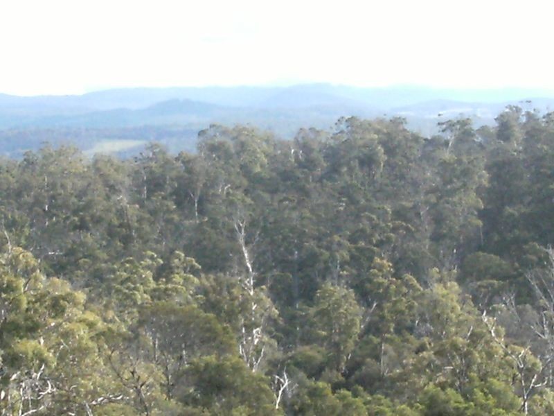 1907 East Tamar Highway, Dilston TAS 7252