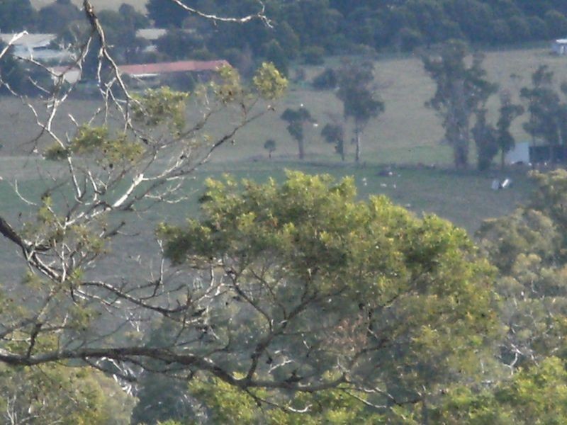 1907 East Tamar Highway, Dilston TAS 7252