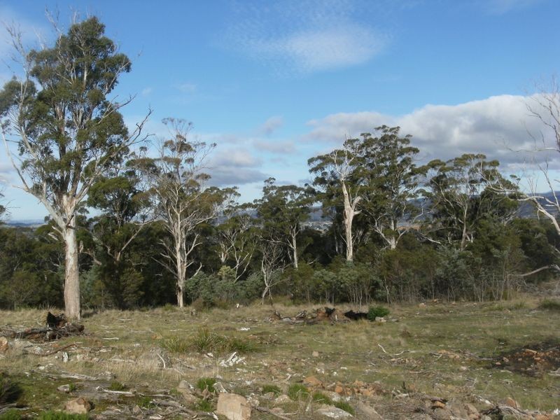 1907 East Tamar Highway, Dilston TAS 7252