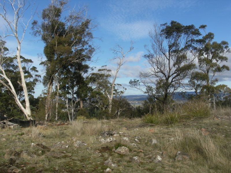 1907 East Tamar Highway, Dilston TAS 7252
