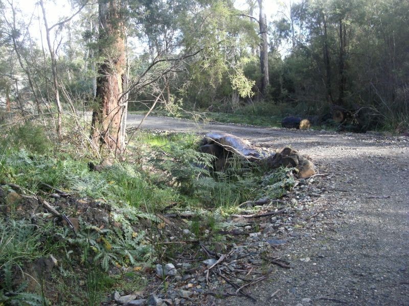 1907 East Tamar Highway, Dilston TAS 7252