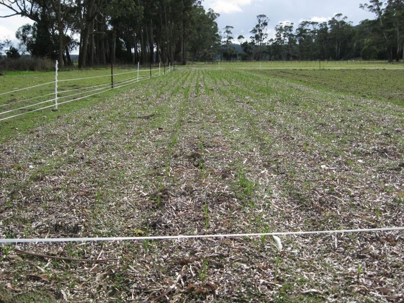 232 Greaves Road, Flowery Gully TAS 7270