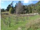 Lilydale TAS 7268