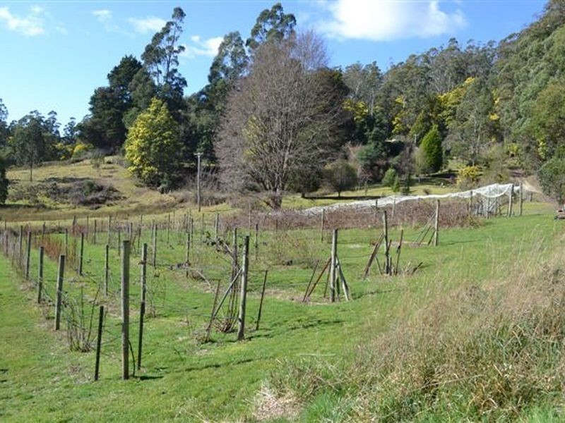 Lilydale TAS 7268