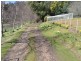 Lilydale TAS 7268