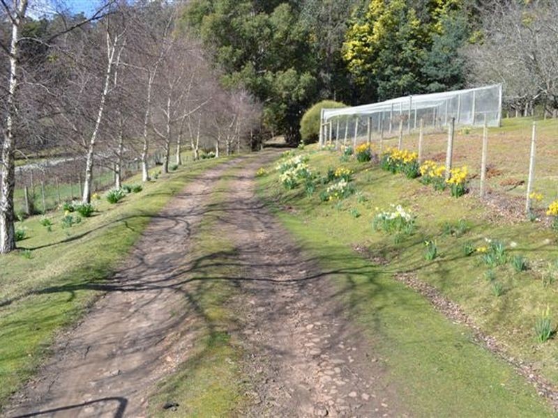 Lilydale TAS 7268