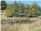Lilydale TAS 7268