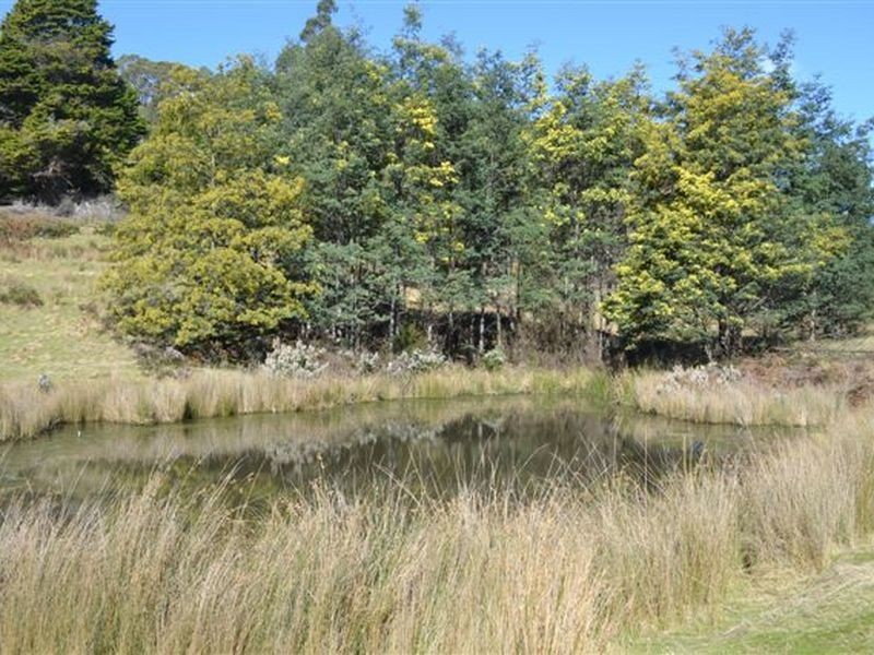 Lilydale TAS 7268