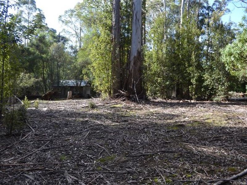 Lilydale TAS 7268