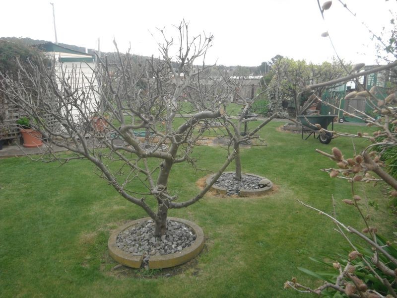 6 John Street, Beaconsfield TAS 7270