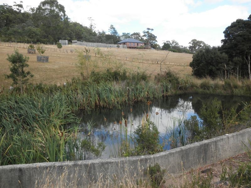 102 Dalrymple Road, Mount Direction TAS 7252