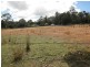 102 Dalrymple Road, Mount Direction TAS 7252