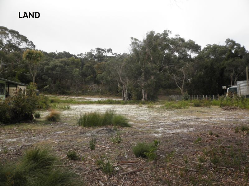 29 Smith Street, Bellingham TAS 7254