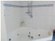 17 Alexander Street, Bridport TAS 7262