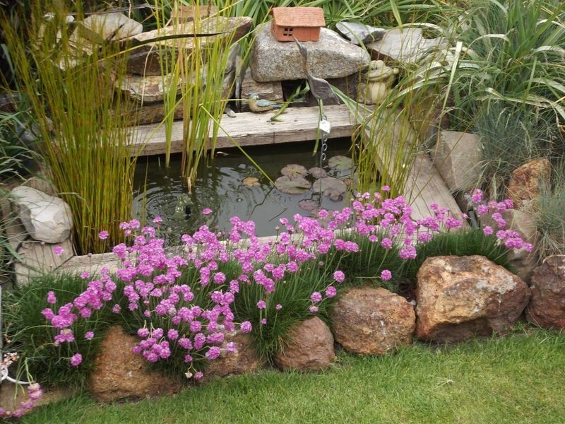 17 Alexander Street, Bridport TAS 7262