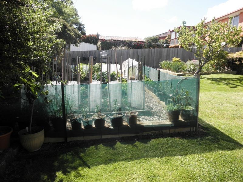 28 Laver Grove, Newnham TAS 7248