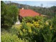 83 Bayview Drive, Blackstone Heights TAS 7250