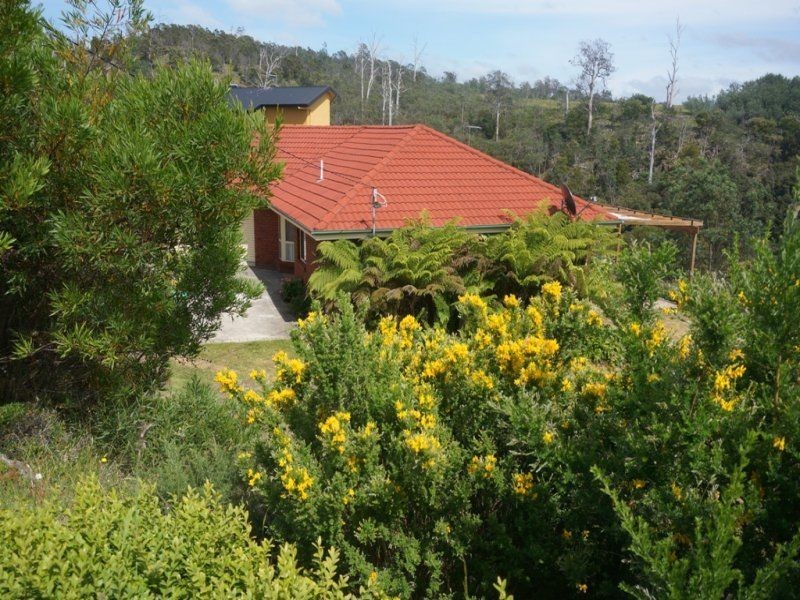 83 Bayview Drive, Blackstone Heights TAS 7250