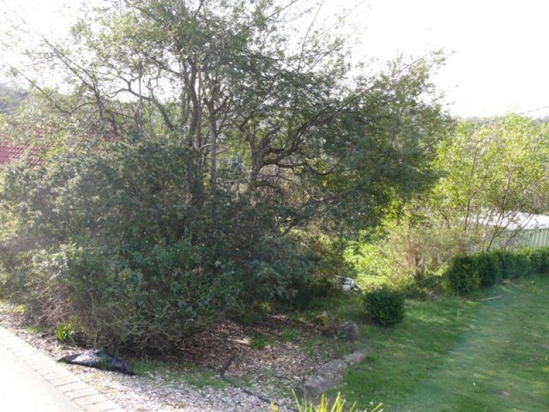 83 Bayview Drive, Blackstone Heights TAS 7250