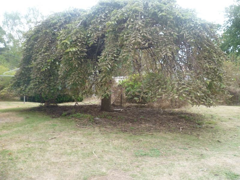 240 Leam Road, Hillwood TAS 7252