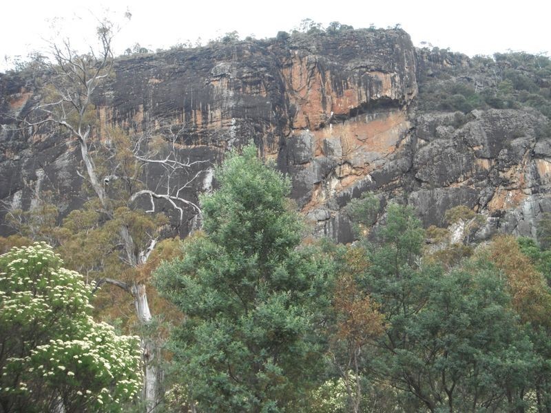 Lot 1 Albert Street, Fingal TAS 7214