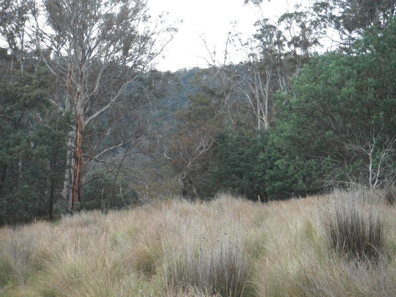 Lot 1 Albert Street, Fingal TAS 7214