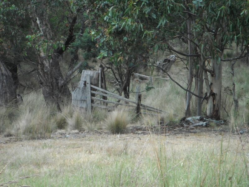 Lot 1 Albert Street, Fingal TAS 7214