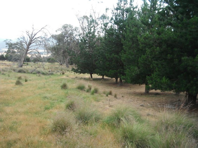 Lot 1 Albert Street, Fingal TAS 7214