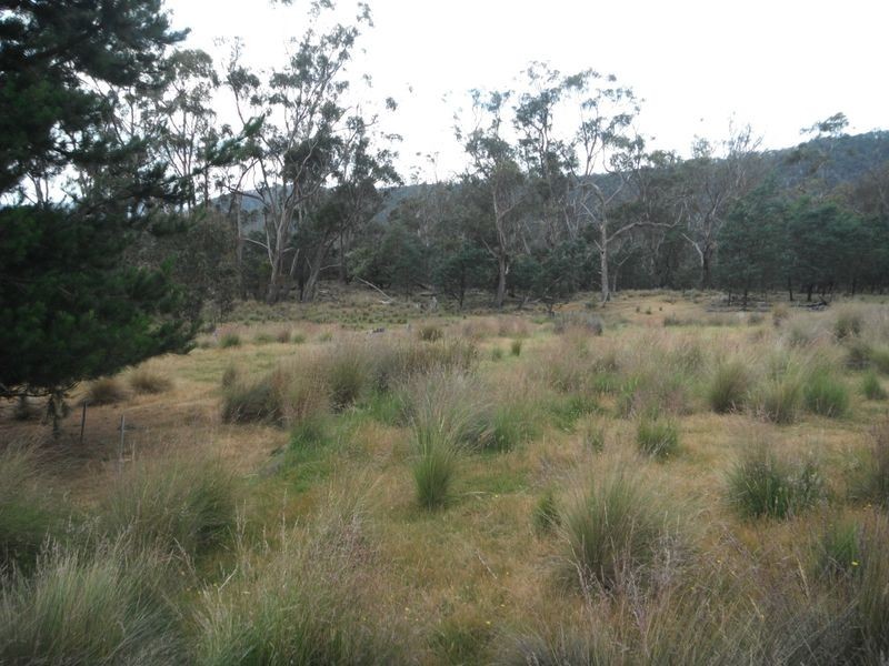 Lot 1 Albert Street, Fingal TAS 7214