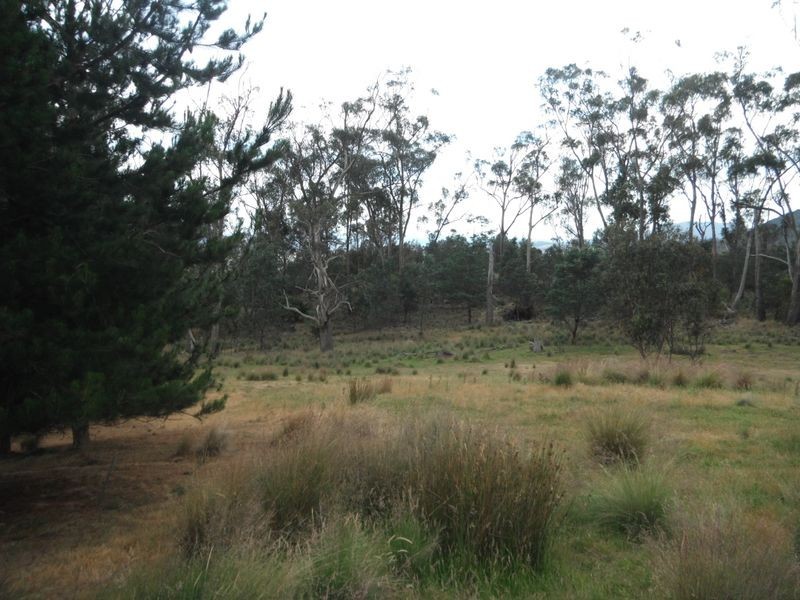 Lot 1 Albert Street, Fingal TAS 7214
