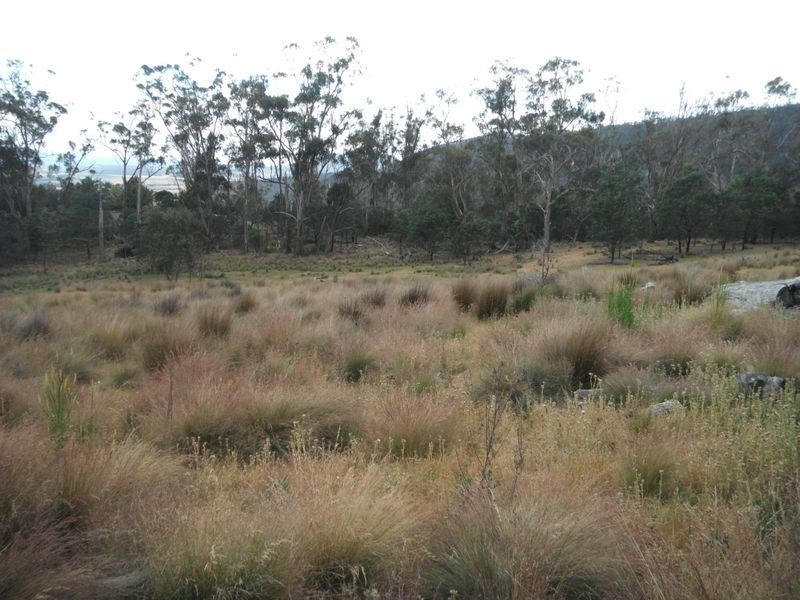 Lot 1 Albert Street, Fingal TAS 7214