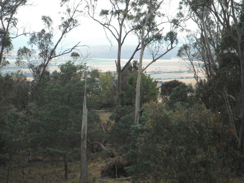 Lot 1 Albert Street, Fingal TAS 7214
