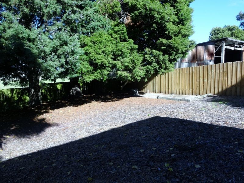 19 Collins Street, Evandale TAS 7212