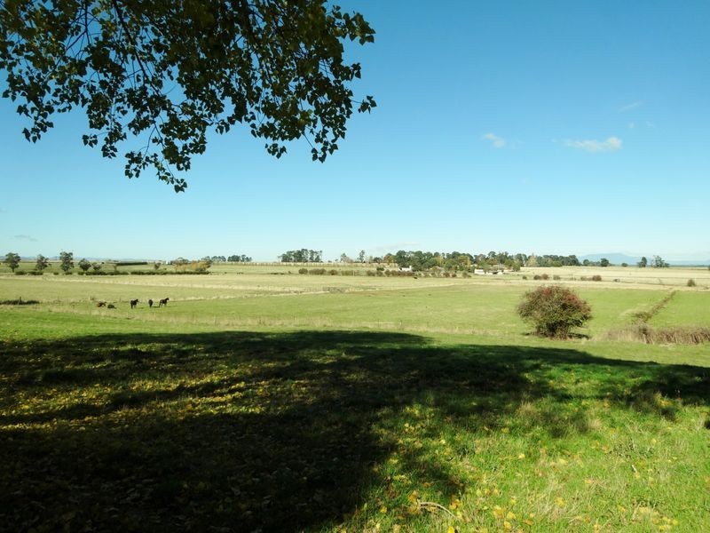19 Collins Street, Evandale TAS 7212