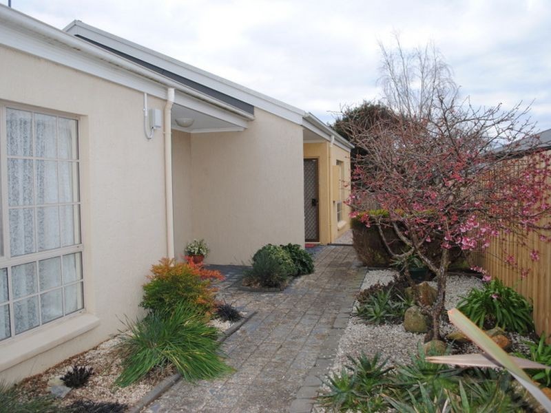 2/7 Pine Ave, Newstead TAS 7250