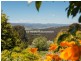 14 Skyline Avenue, Grindelwald TAS 7277
