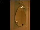 1/2 Techno Park Drive, Kings Meadows TAS 7249