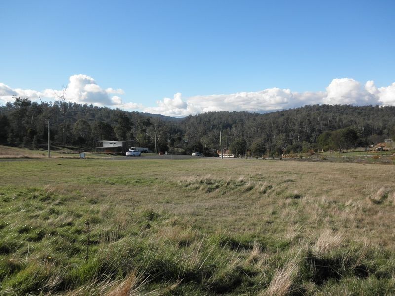 106 Sherbourne Drive (off Los Angelos Road), Dilston TAS 7252