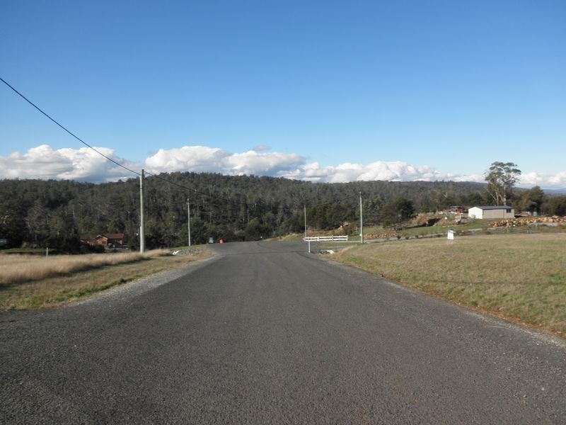 106 Sherbourne Drive (off Los Angelos Road), Dilston TAS 7252