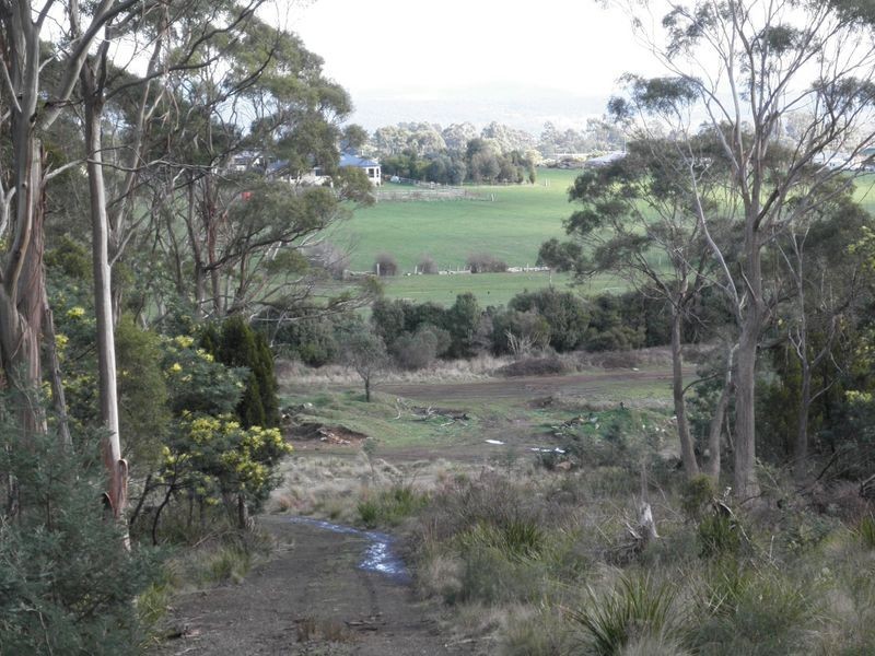 198 Lilydale Road, Rocherlea TAS 7248