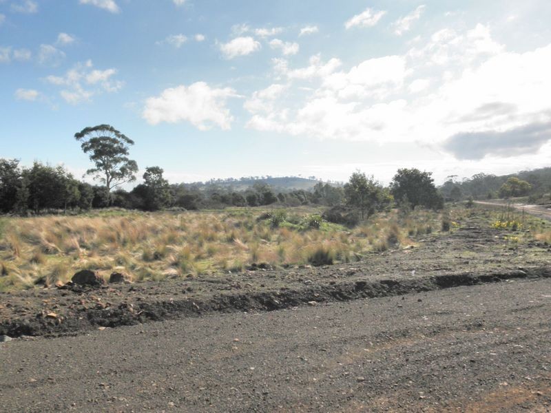 198 Lilydale Road, Rocherlea TAS 7248