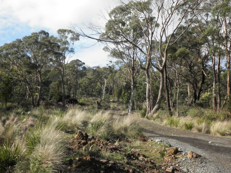 198 Lilydale Road, Rocherlea TAS 7248