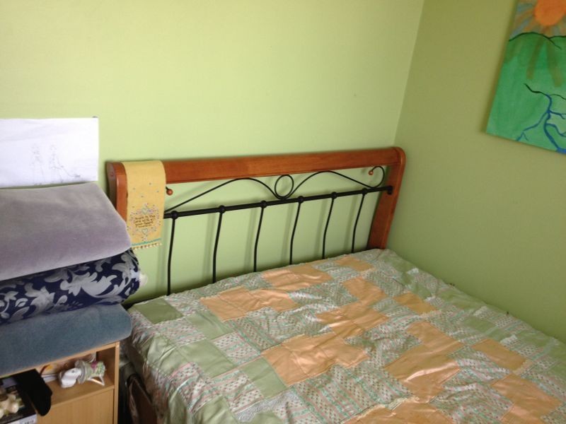 9 Hawkes Place, Scottsdale TAS 7260