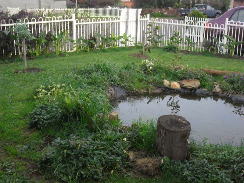 9 Hawkes Place, Scottsdale TAS 7260