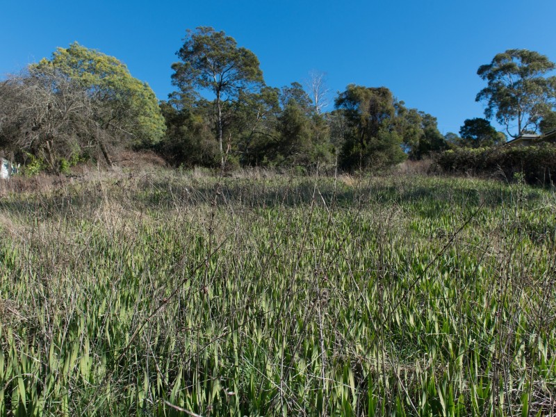 407 Rosevears Drive, Lanena TAS 7275