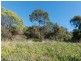 407 Rosevears Drive, Lanena TAS 7275