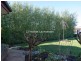2a Napoleon Street, Youngtown TAS 7249
