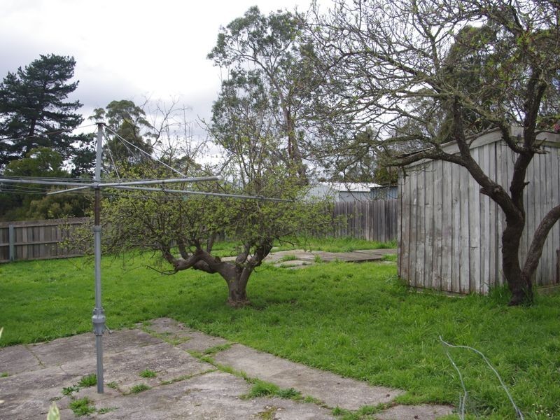 7 Morshead Street, Punchbowl TAS 7249